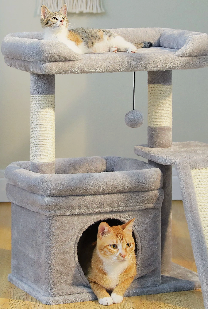 PAWZ Road Small Cat Tree Tower for Large Adult Cat